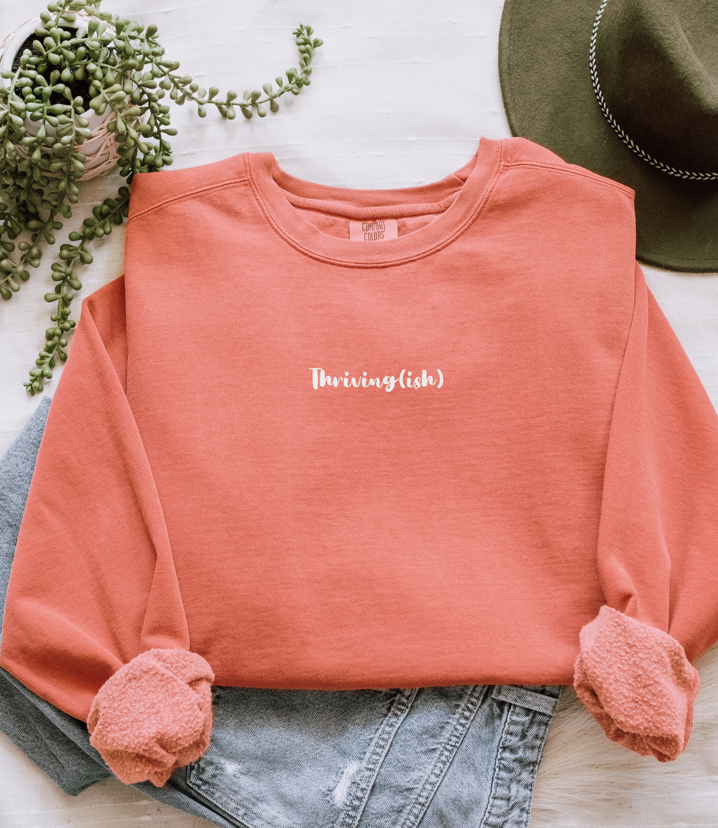Thriving (ish) Minimal Embroidered Sweatshirt